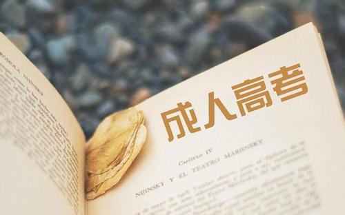 山東成考需要什么報考條件?