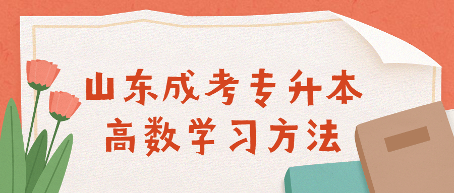 山東成考專升本高數