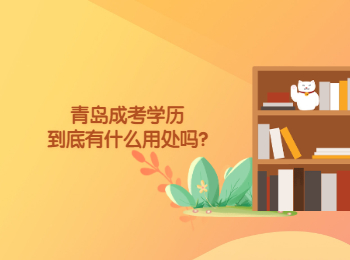 青島成考學(xué)歷到底有什么用處嗎?