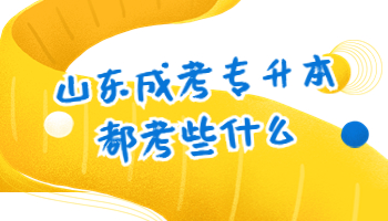 山東成考專升本