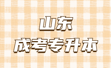 山東成考專升本需要寫畢業論文嗎?