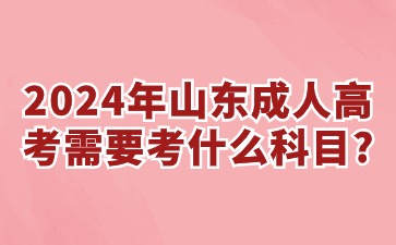 2024年山東成人高考需要考什么科目?