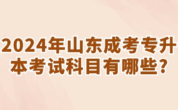 2024年山東成考專升本考試科目有哪些?