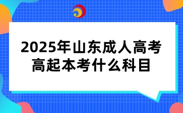 2025年山東成人高考高起本考什么科目